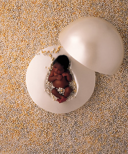Un b&eacute;b&eacute; dans les perles